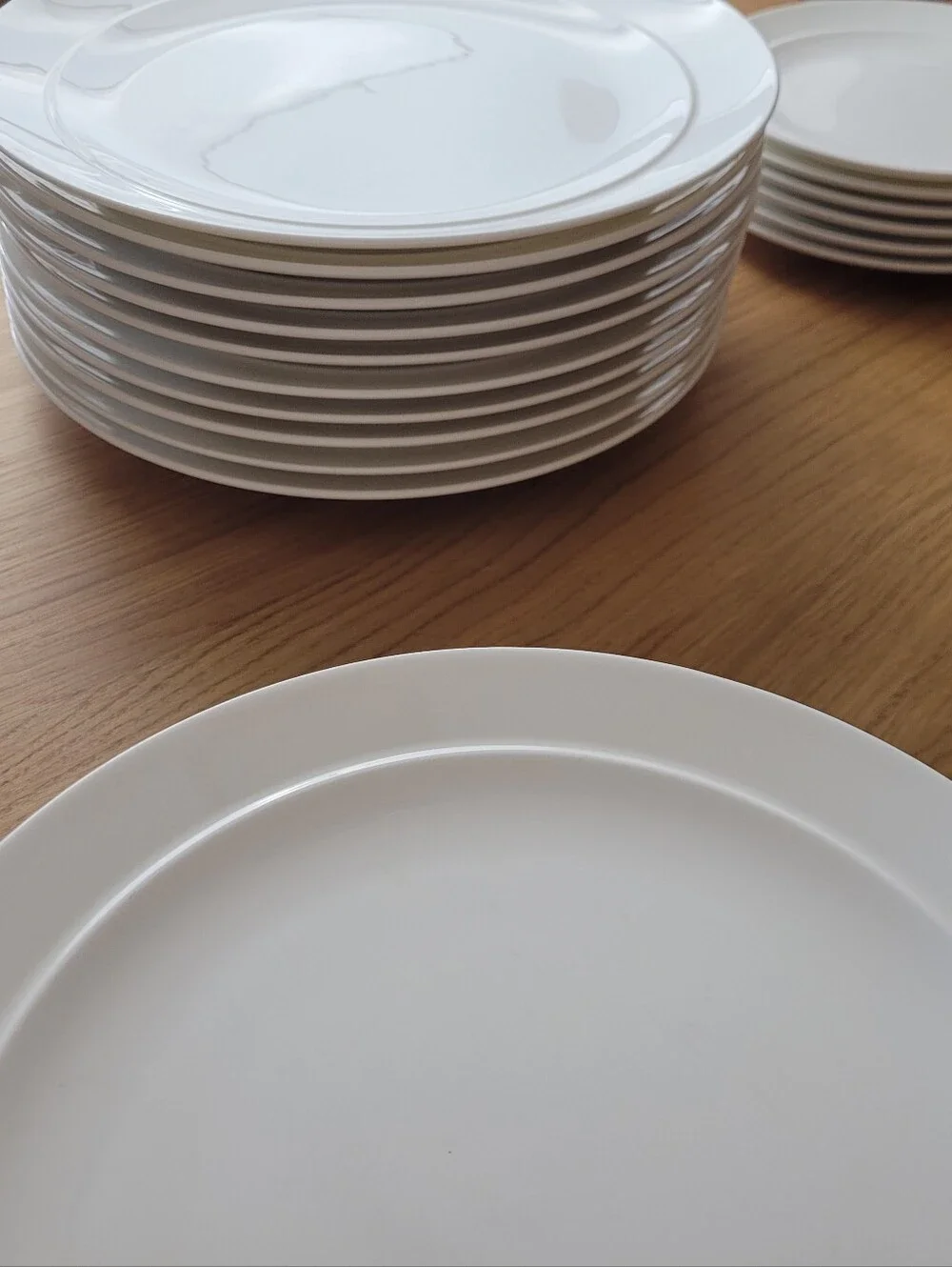 CRATE & BARREL Halo bone china dinner plates set